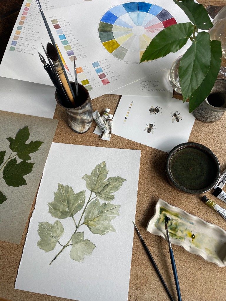 Vanessa Hancock&rsquo;s watercolor workspace with botanical sketches, paint supplies, and natural references